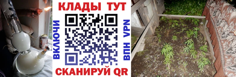 Где купить наркотики Нововоронеж A-PVP  Конопля  Меф мяу мяу  ГАШИШ  Кокаин 