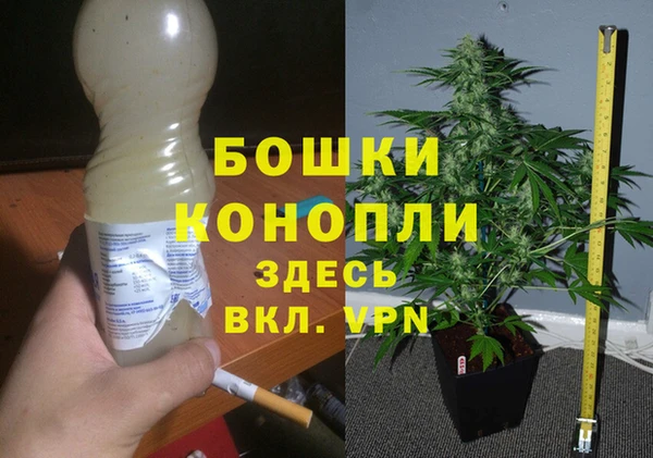 apvp Алзамай